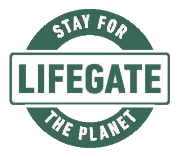 Stay for the Planet Logo